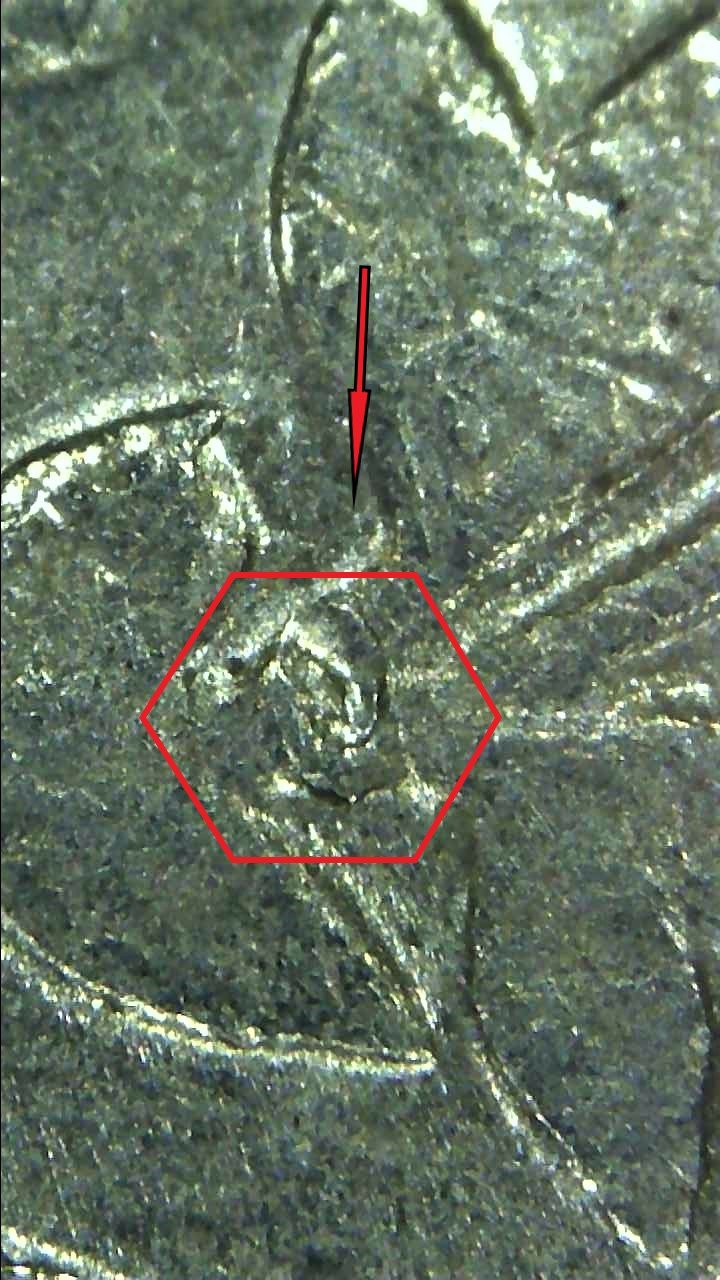 1990-D-Quarter-What-Is-This-Wrapped-Around-The-Stem-Of-The-Leaves?